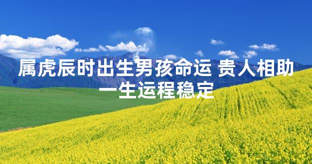 属虎辰时出生男孩命运 贵人相助一生运程稳定